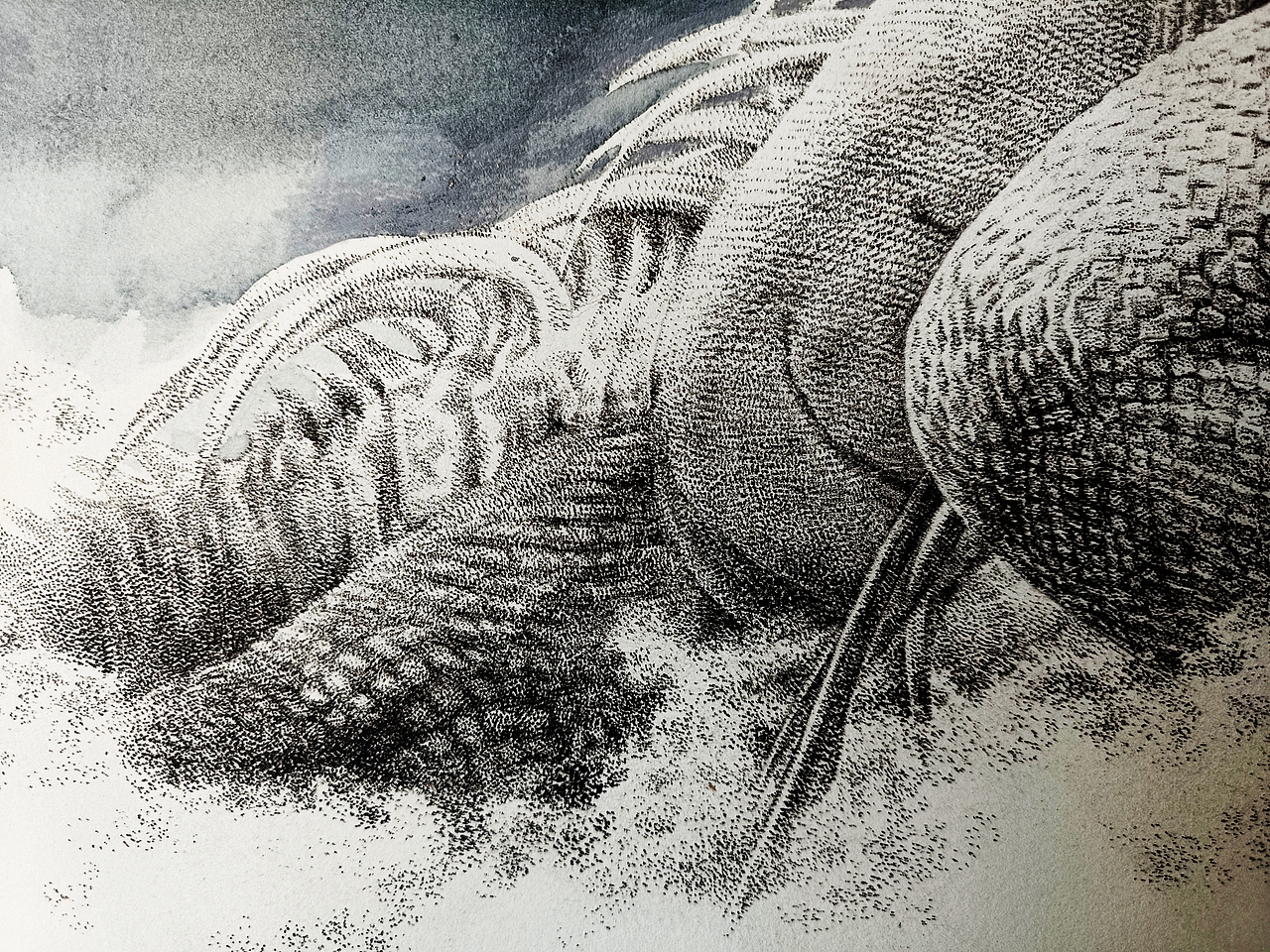 《那些王》系列-蜥