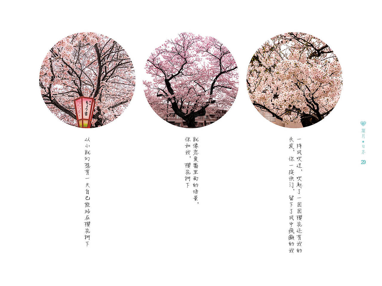 日本樱花之旅（图ZMzIzNTg1NDg=） - 风光摄影 - 站酷设计师hxl19880629原创素材 - 站酷ZCOOL