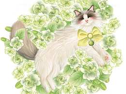 原创猫咪与花卉茉莉花插画