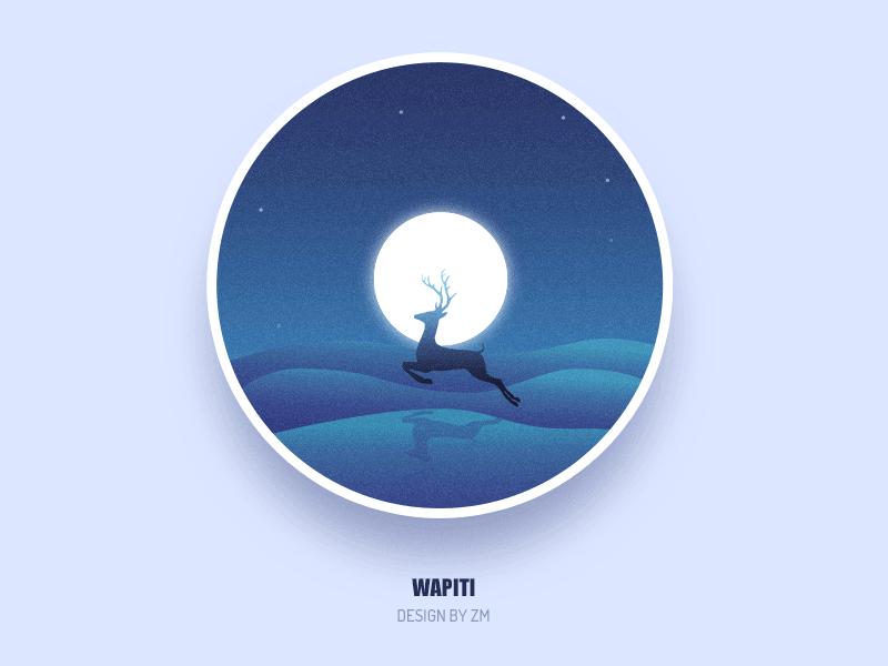 Illustration Animation