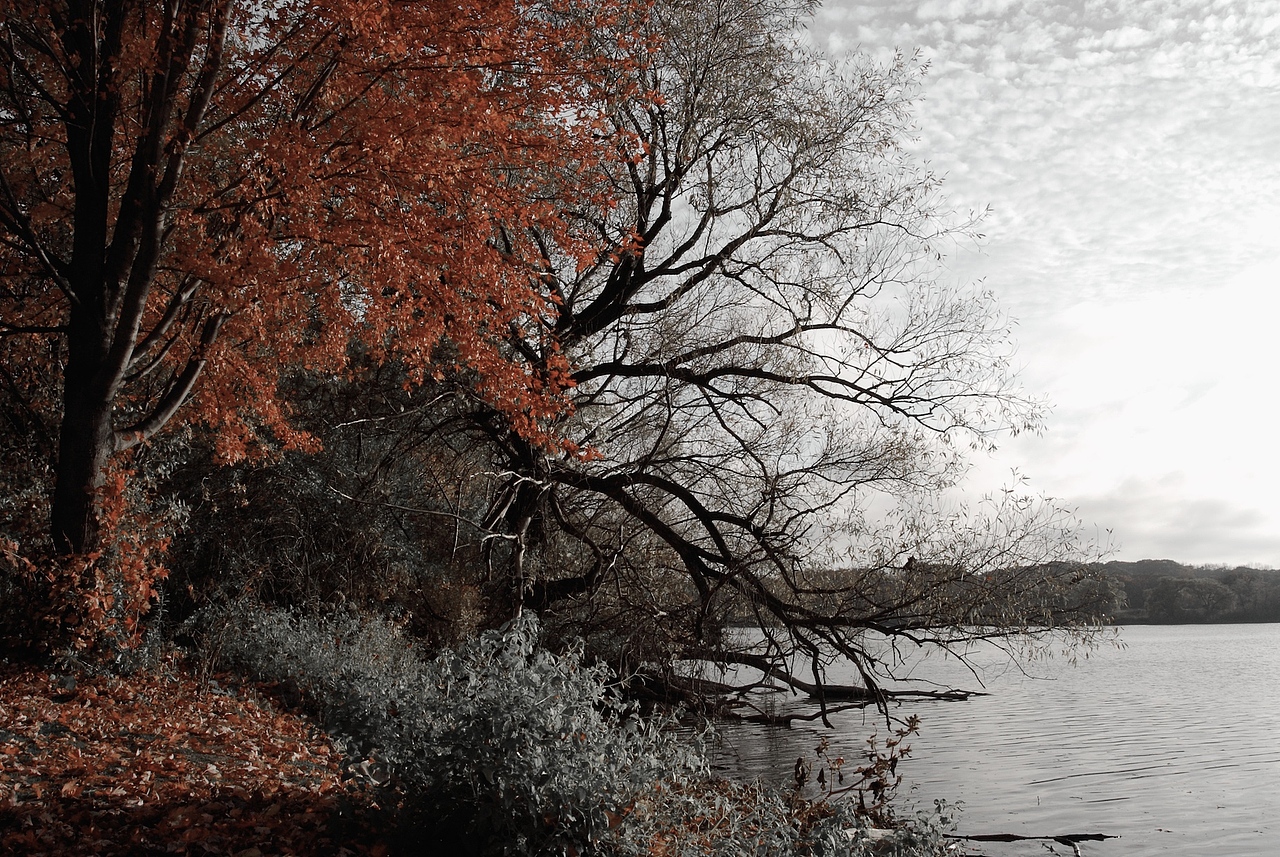 Fall Colors（图ZNDY1MjU2） - 风光摄影 - 站酷设计师mizerable原创素材 - 站酷ZCOOL