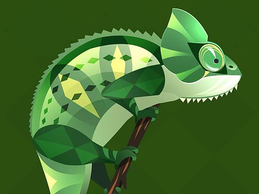 动物插画