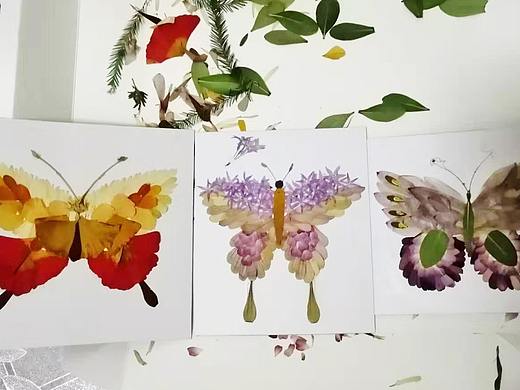 破茧成蝶 花瓣贴画 树叶贴画