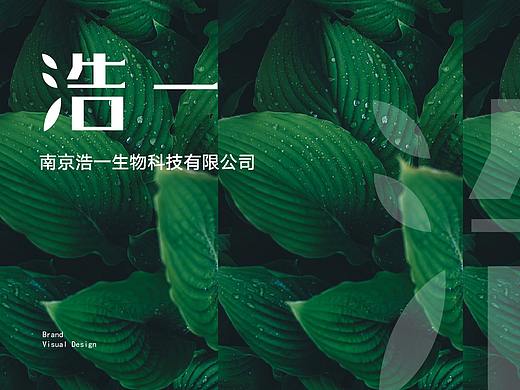 vi品牌画册