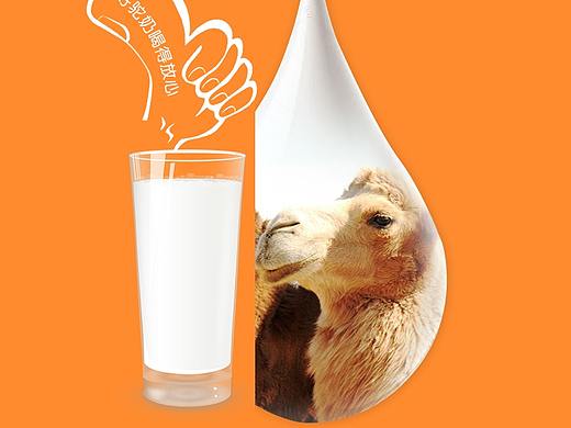 牛奶详情页 驼奶详情页