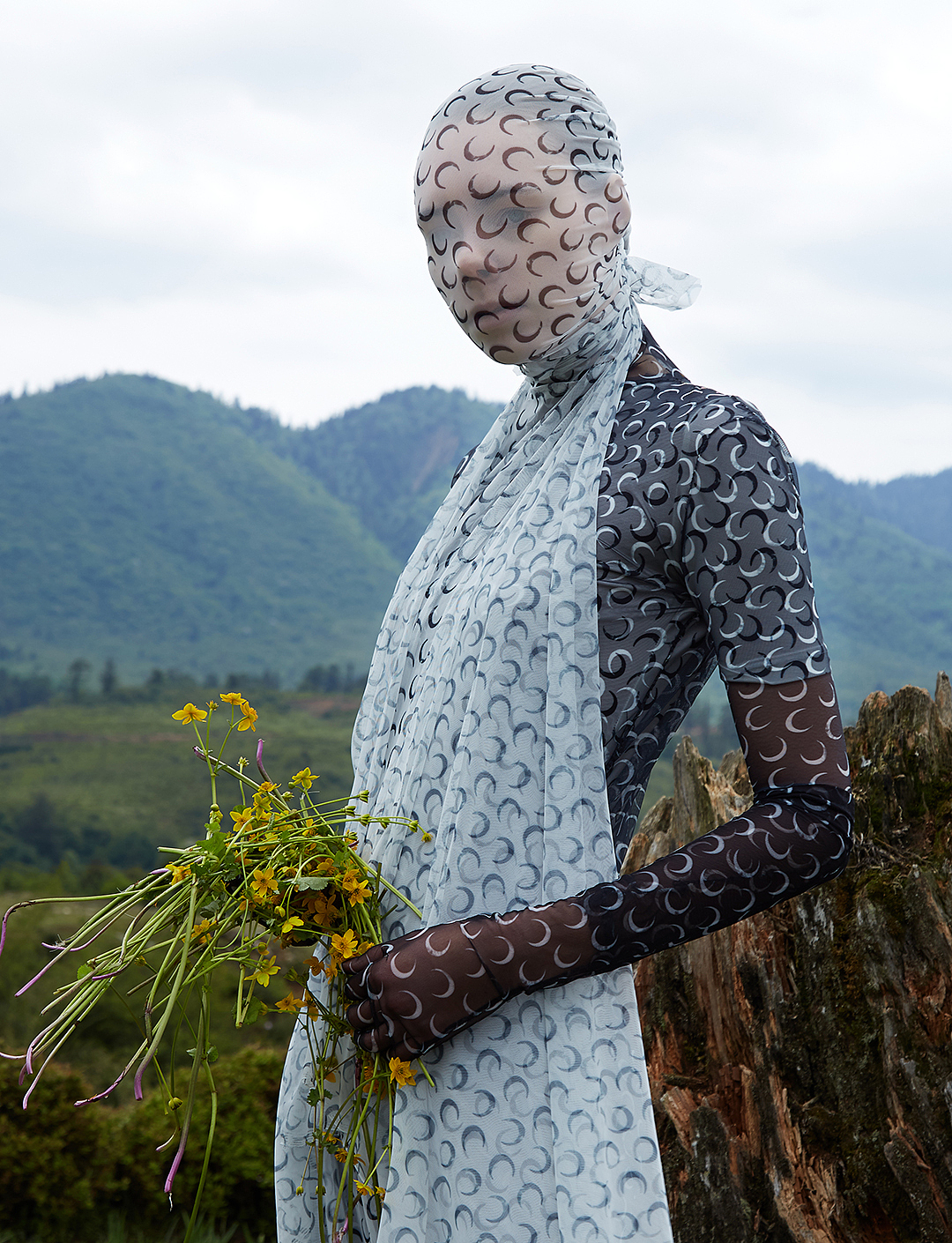 Living on the Plateau