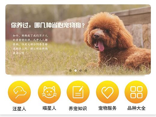 宠爱有咖UI手机APP界面设计