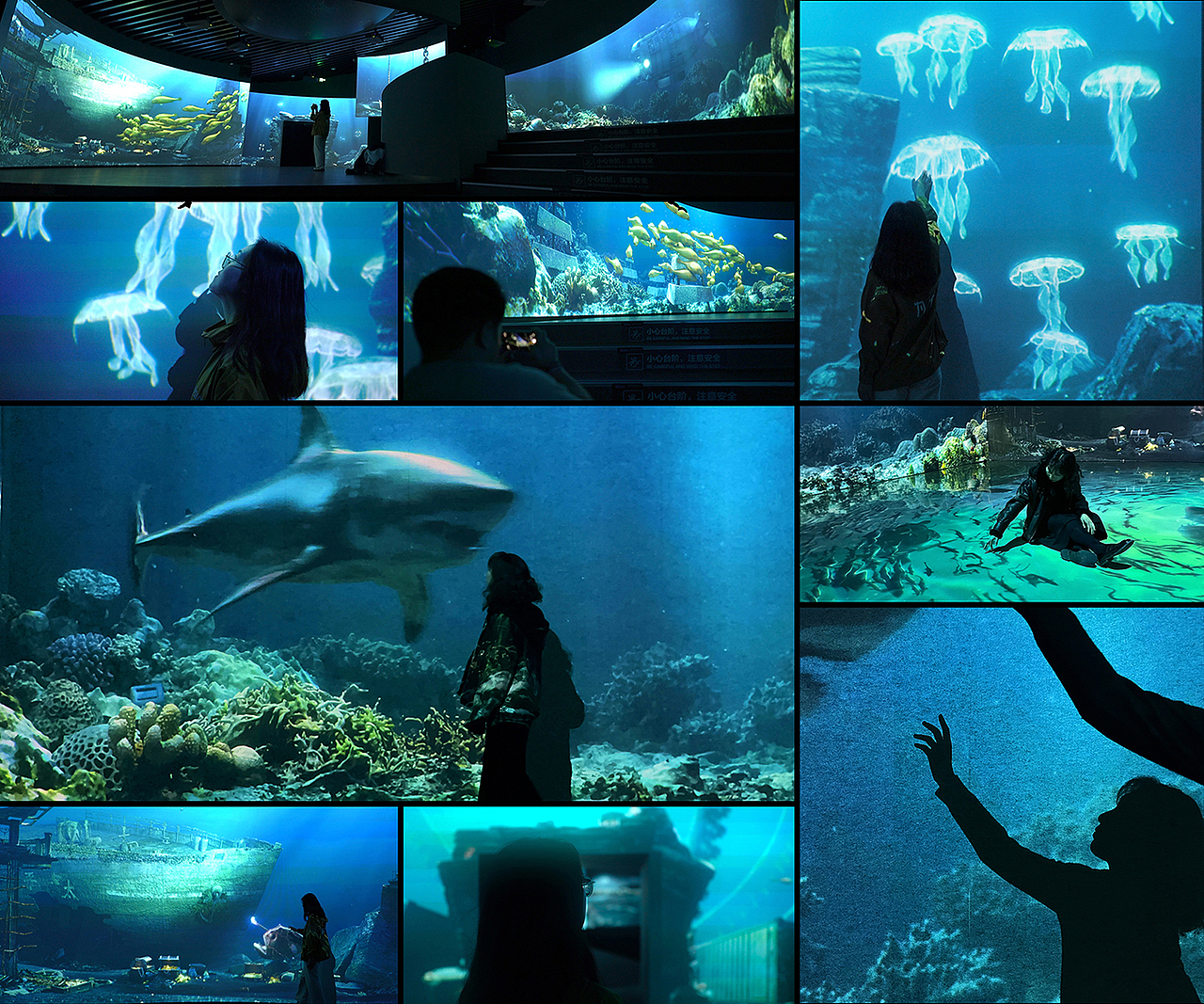 深海的空地 丨 IMMERSIVE EXHIBITION（图ZMzU0ODE0NTIw） - 其他影视 - 站酷设计师第三旋臂SWIVEL原创素材 - 站酷ZCOOL