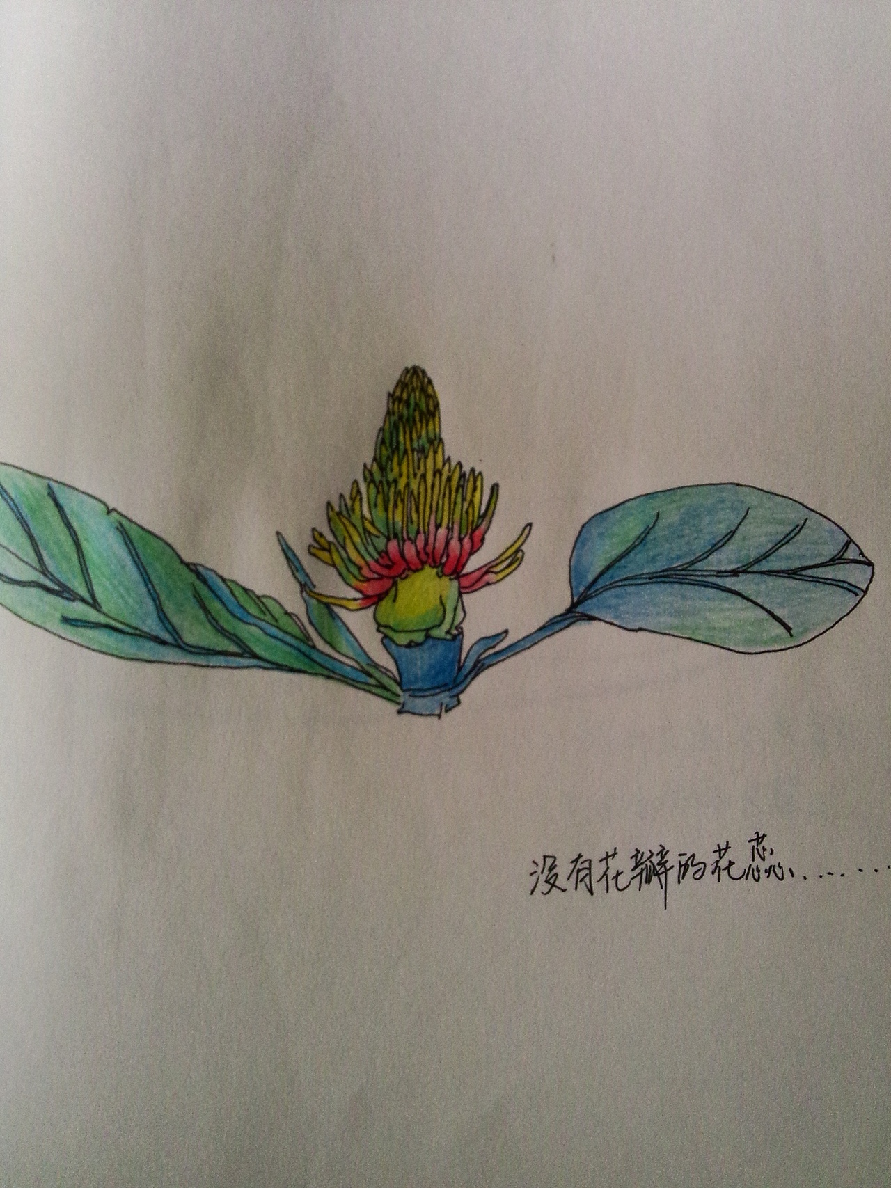 有些是学校不起眼的东西。我捡回画室觉得有点意思