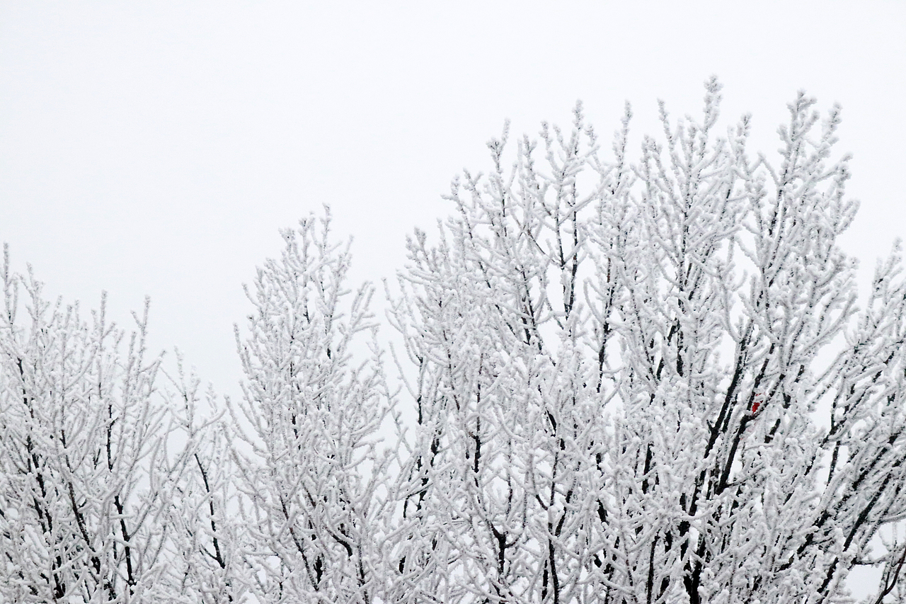 摄影 峨眉山（图ZMTY4MDM3NjYw） - 风光摄影 - 站酷设计师香菜小龍包原创素材 - 站酷ZCOOL