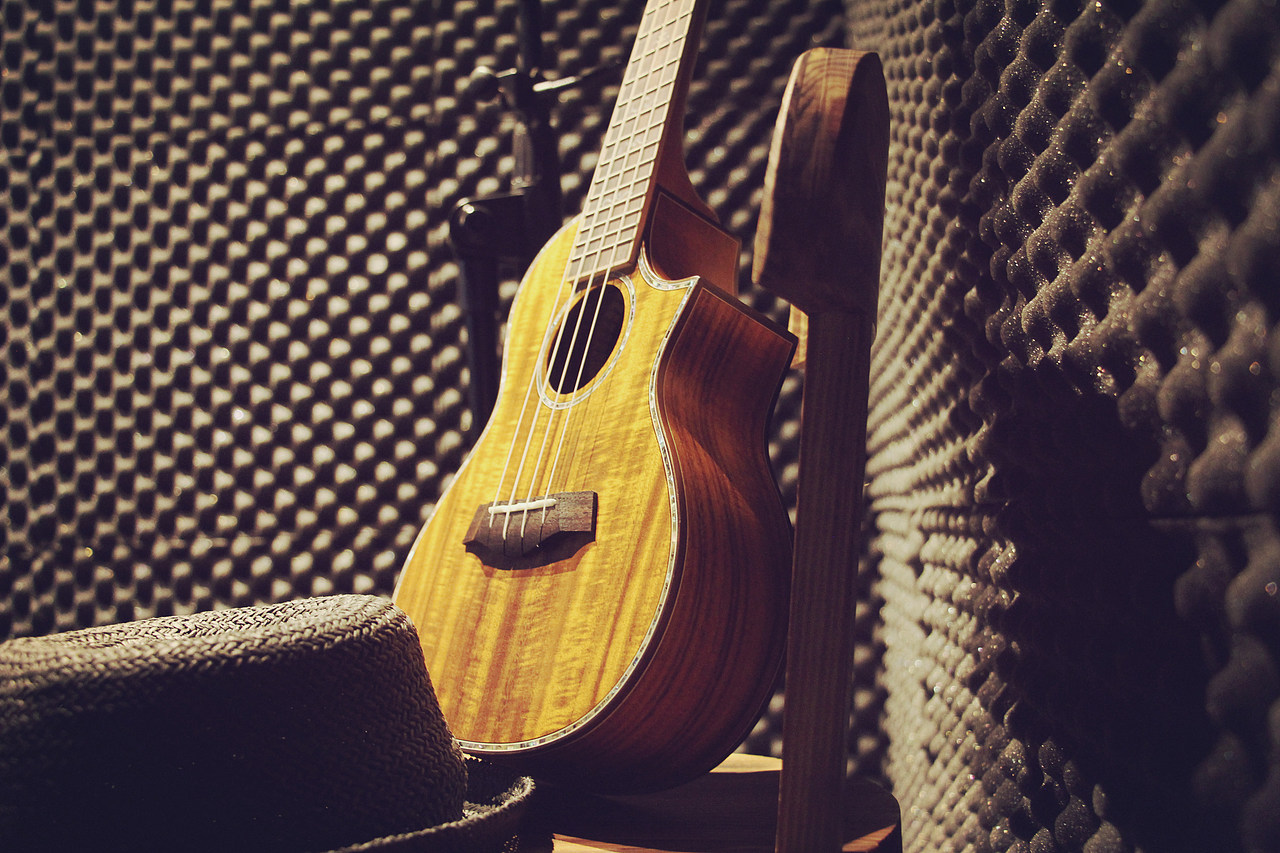 尤克里里艺术照