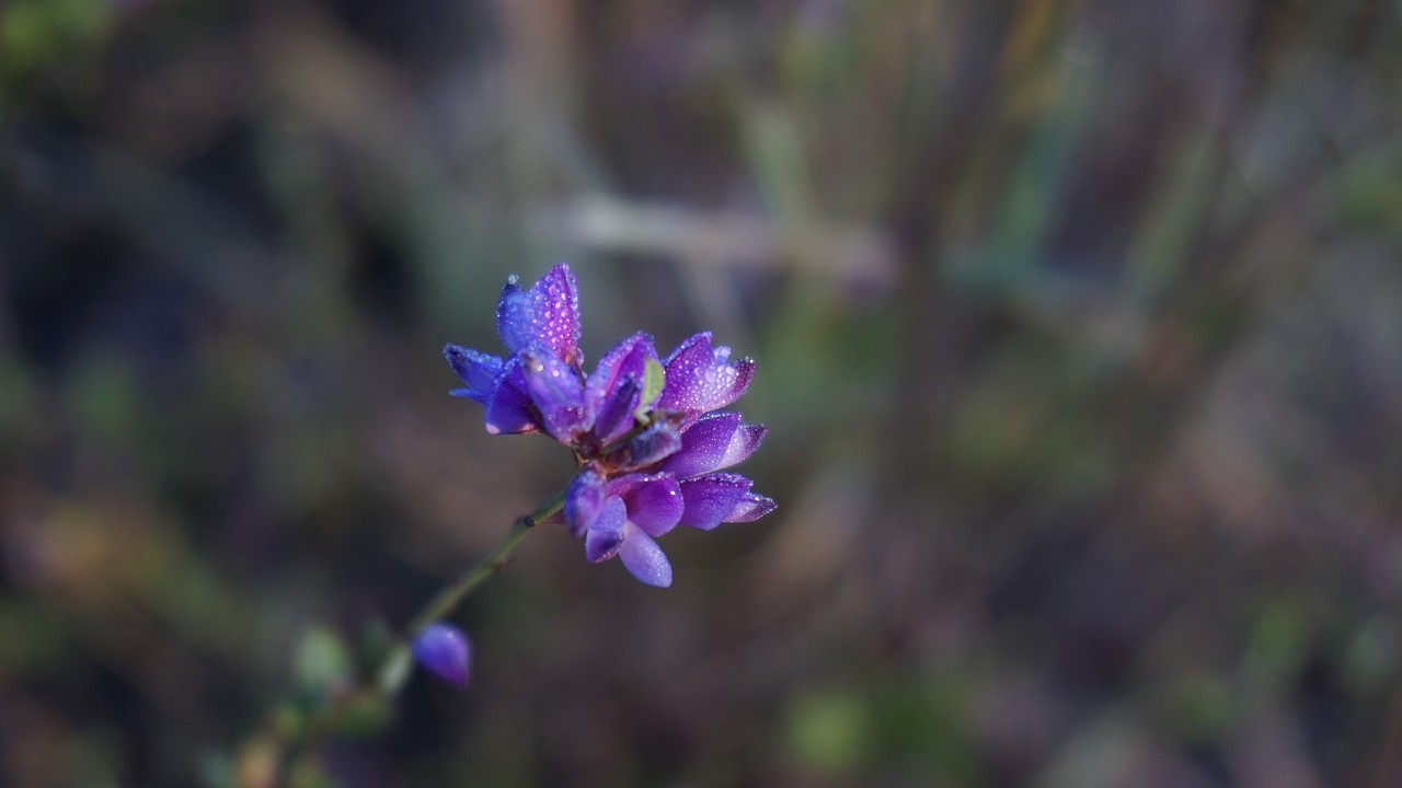 日出（图ZMTgxMTQ0OTk2） - 风光摄影 - 站酷设计师北方的南边原创素材 - 站酷ZCOOL