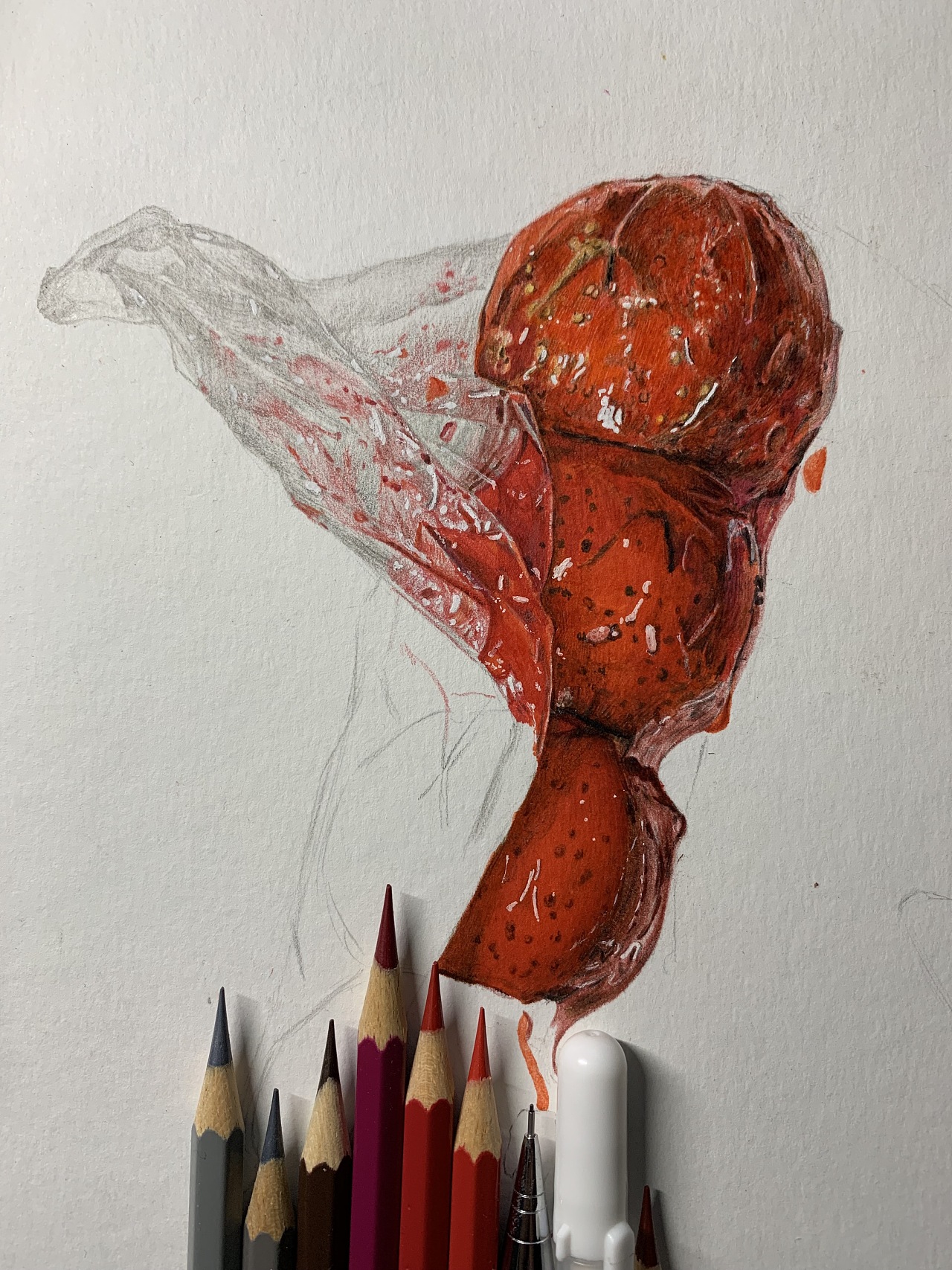 超写实彩铅——糖葫芦