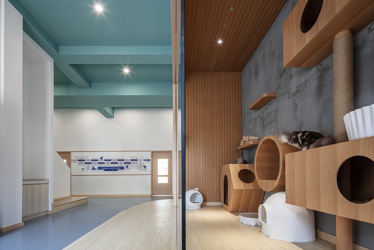 实景 | 蒙特梭利儿童亲子空间全新升级（图ZMTg4Mjg0MzQw） - 家装设计 - 站酷设计师麦贝贝儿童空间原创素材 - 站酷ZCOOL