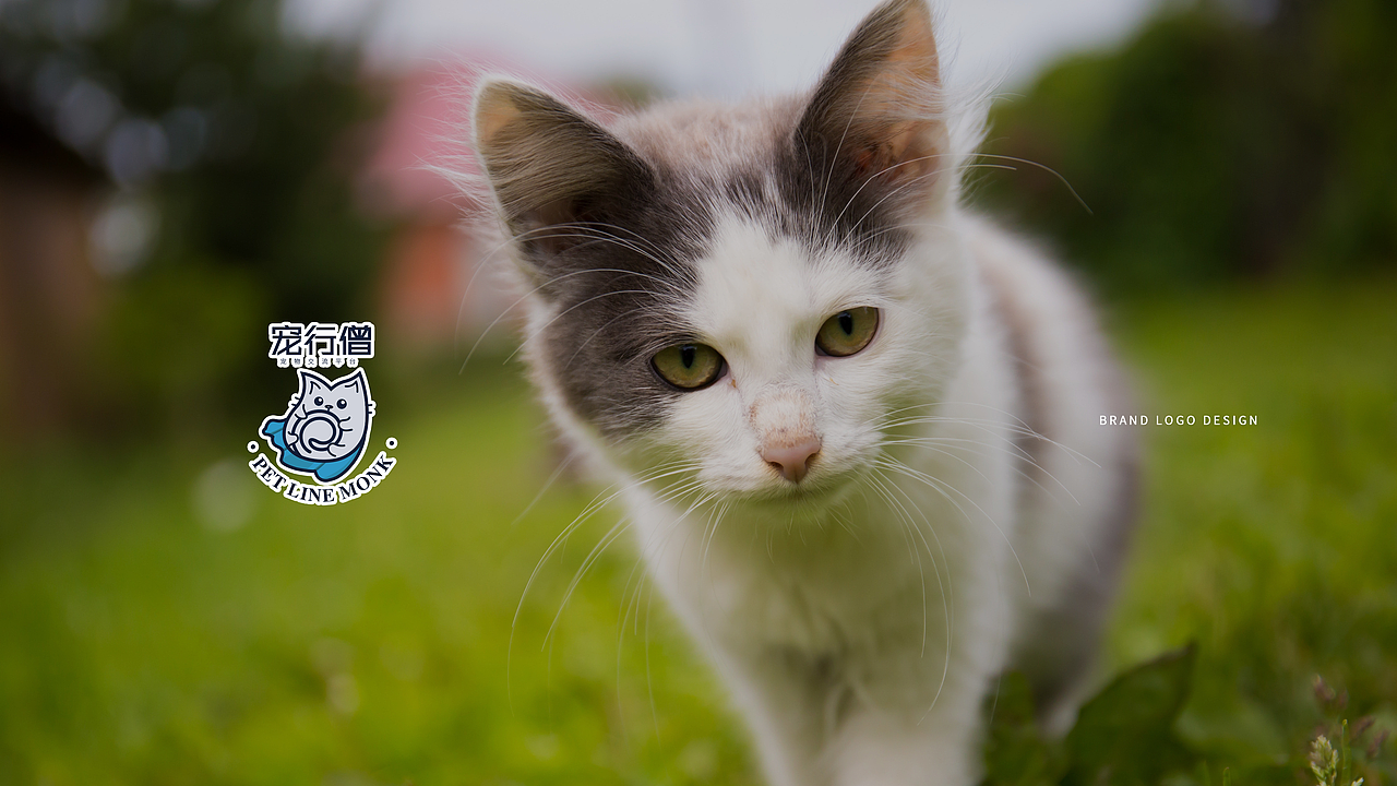 宠物卡通logo宠行僧