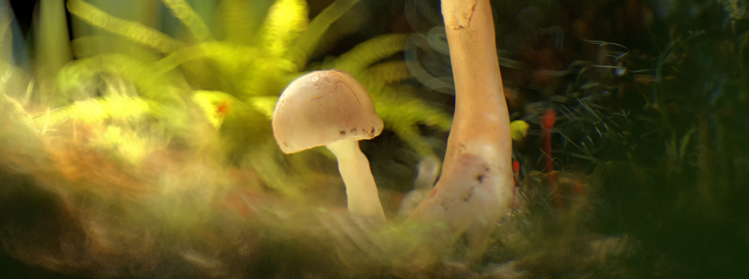 artxt的個(gè)人主頁（封面預(yù)覽） - 主頁封面設(shè)置 - 站酷設(shè)計(jì)師artxt原創(chuàng)素材 - 站酷ZCOOL