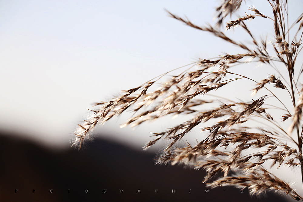 北秋- 原创作品 - 站酷(zcool)