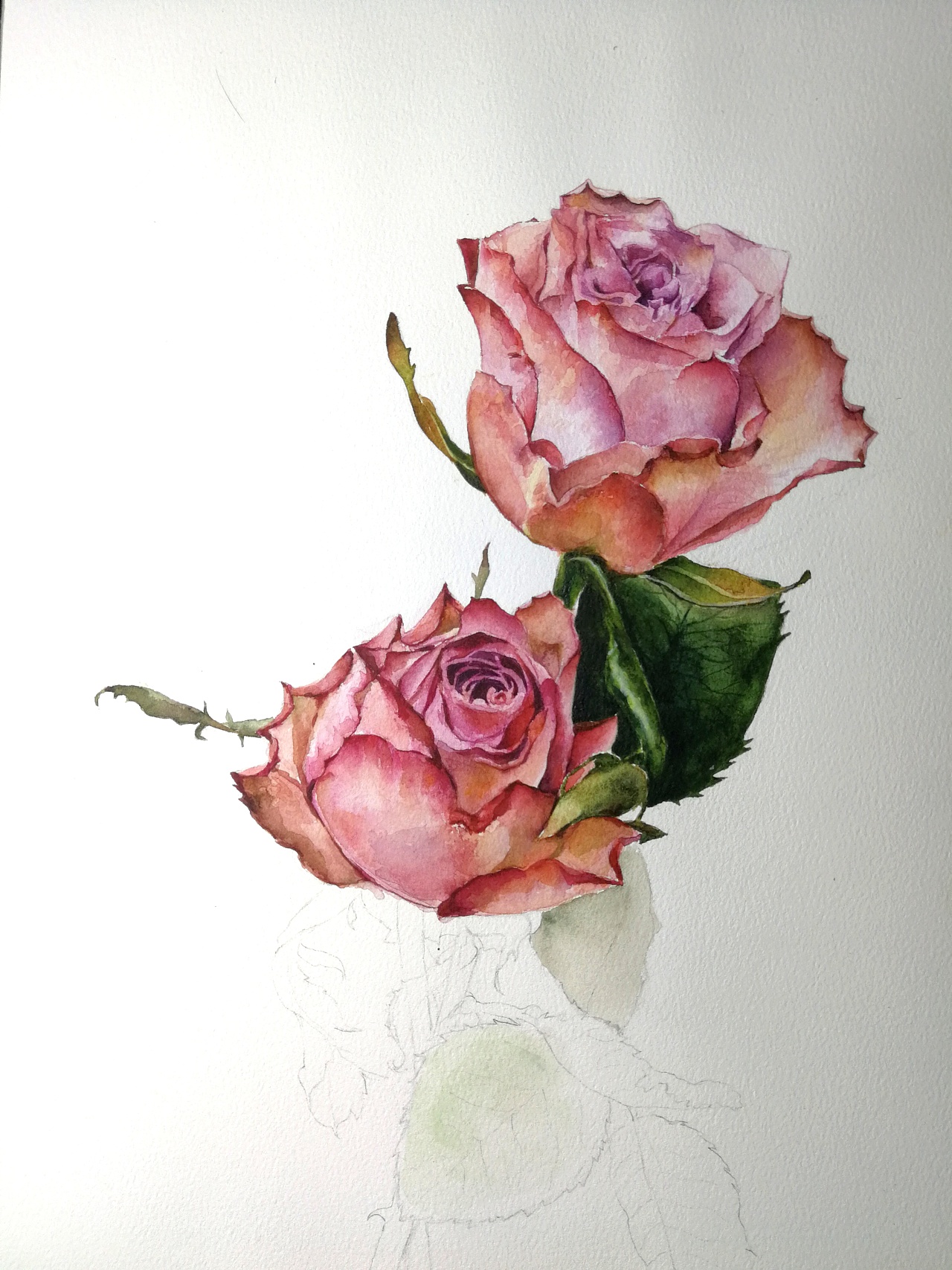 水彩玫瑰写生|纯艺术|绘画|心上人j - 原创作品 - 站酷 (zcool)