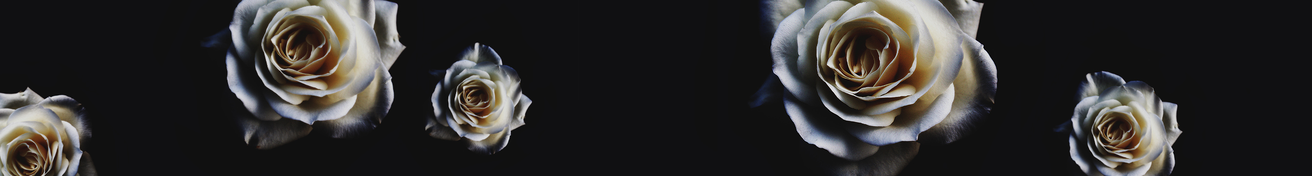 樂樂孙的个人主页（封面预览） - 主页封面设置 - 站酷设计师樂樂孙原创素材 - 站酷ZCOOL