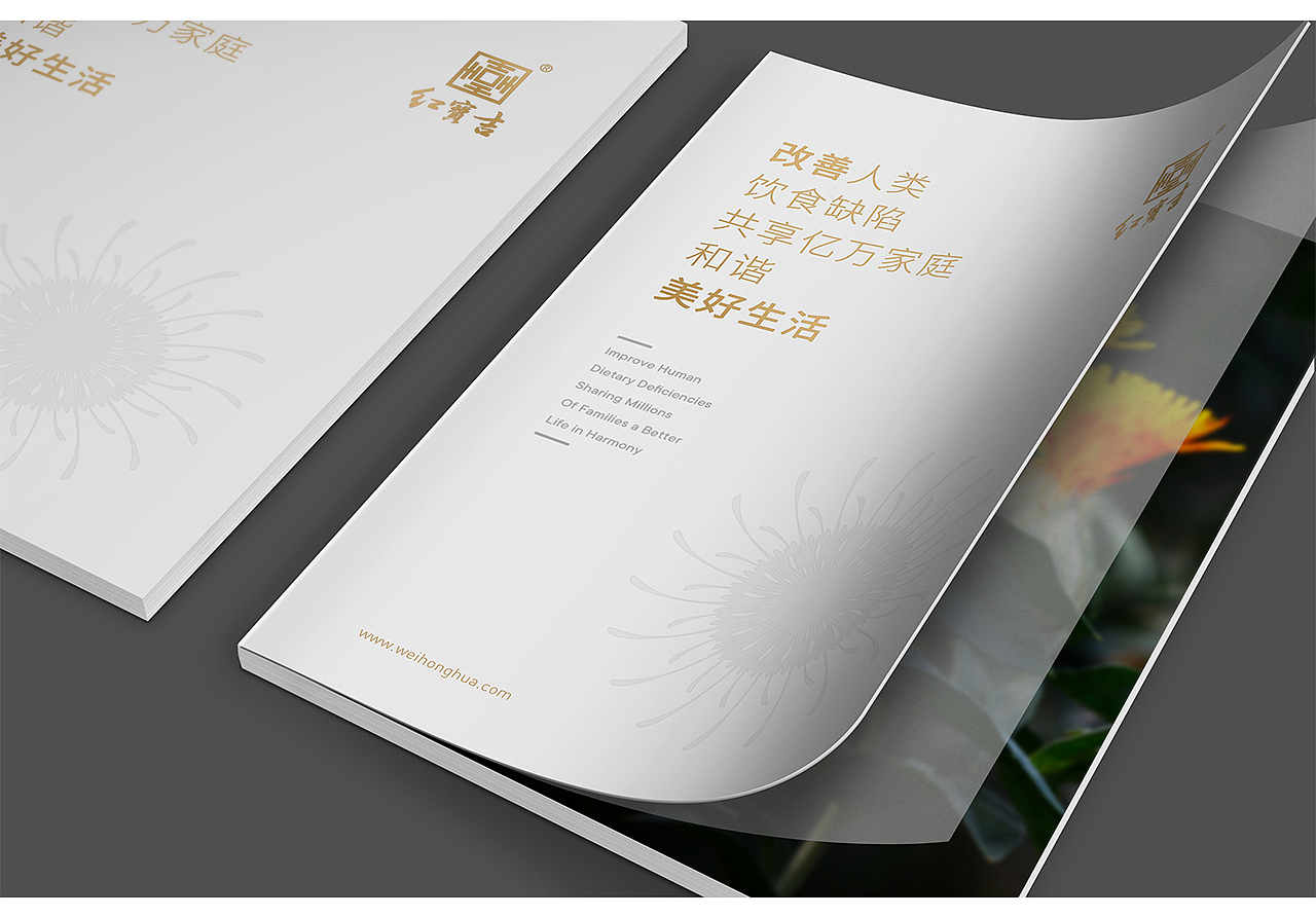 红宝吉-品牌形象升级+包装升级+画册设计+展会策划（图ZMjA0NzM4Mjk2） - 品牌 - 站酷设计师知一设计原创素材 - 站酷ZCOOL