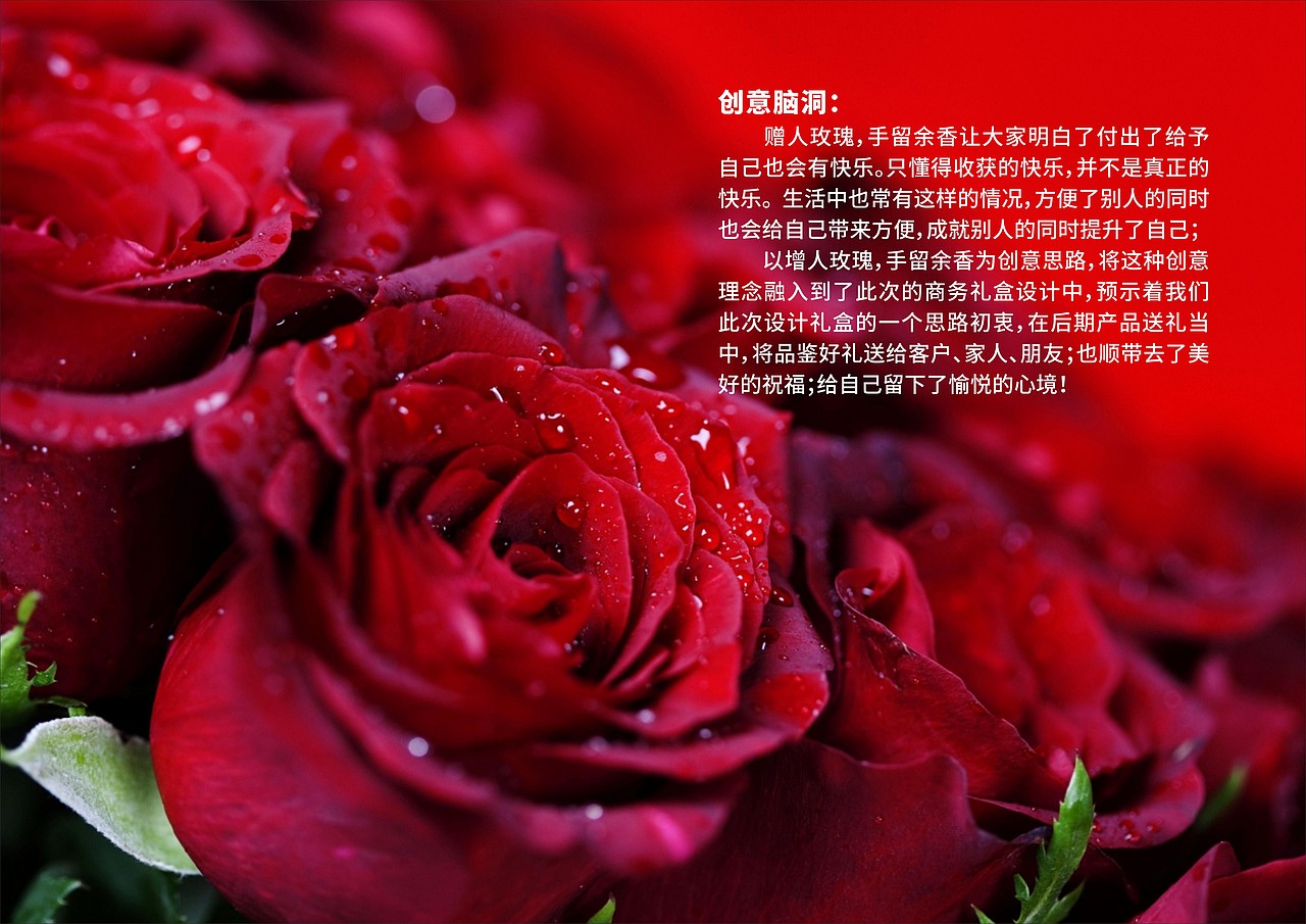 中甘商务高端礼盒包装设计方案（图ZMjcyMjk1MDI4） - 包装 - 站酷设计师随缘设计爱好者原创素材 - 站酷ZCOOL