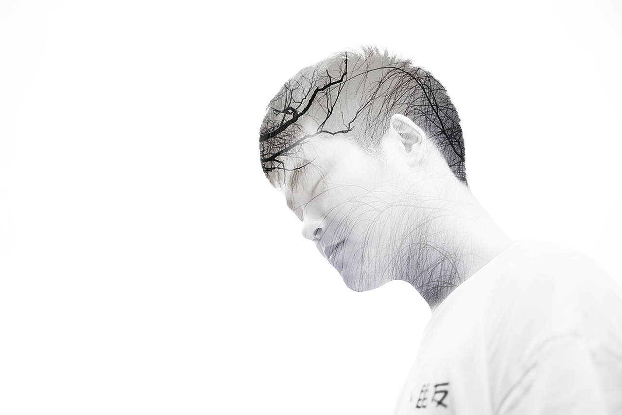 一只唱歌的小哥哥