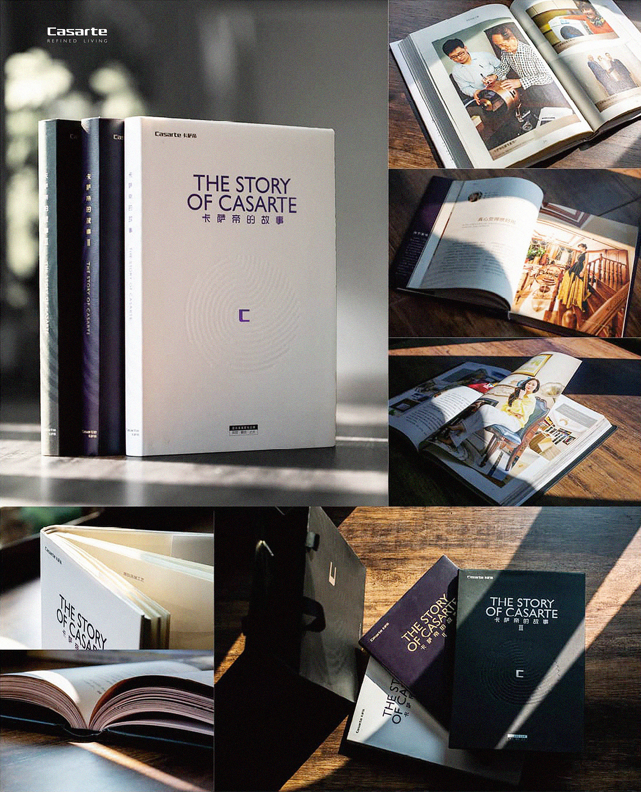 《卡萨帝的故事》用户画像