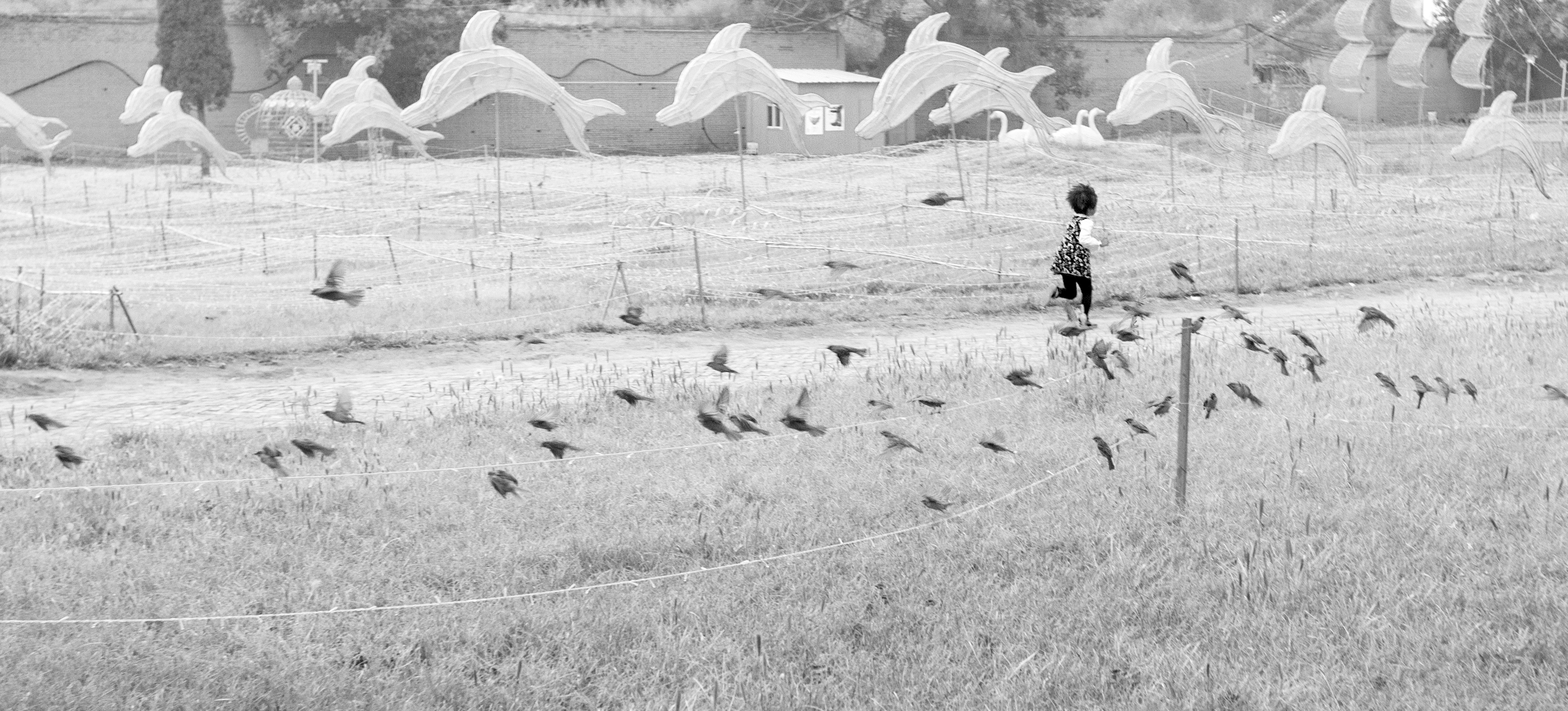 青路的個(gè)人主頁(yè)（封面預(yù)覽） - 主頁(yè)封面設(shè)置 - 站酷設(shè)計(jì)師青路原創(chuàng)素材 - 站酷ZCOOL