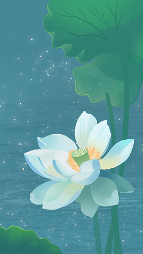 书籍封面插画练习