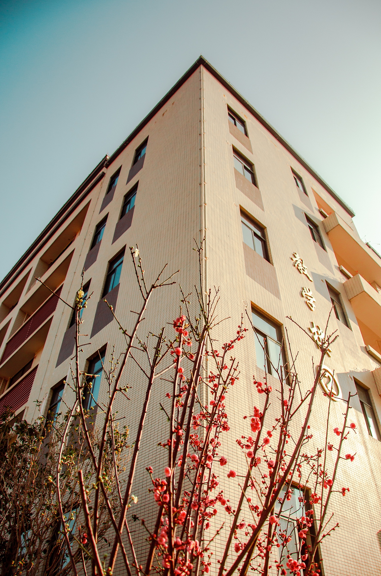 校园摄影（图ZMjY1ODgxNTAw） - 风光摄影 - 站酷设计师怪兽人坏原创素材 - 站酷ZCOOL