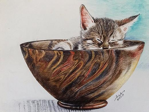 彩色圆珠笔手绘小猫《快到碗里来》