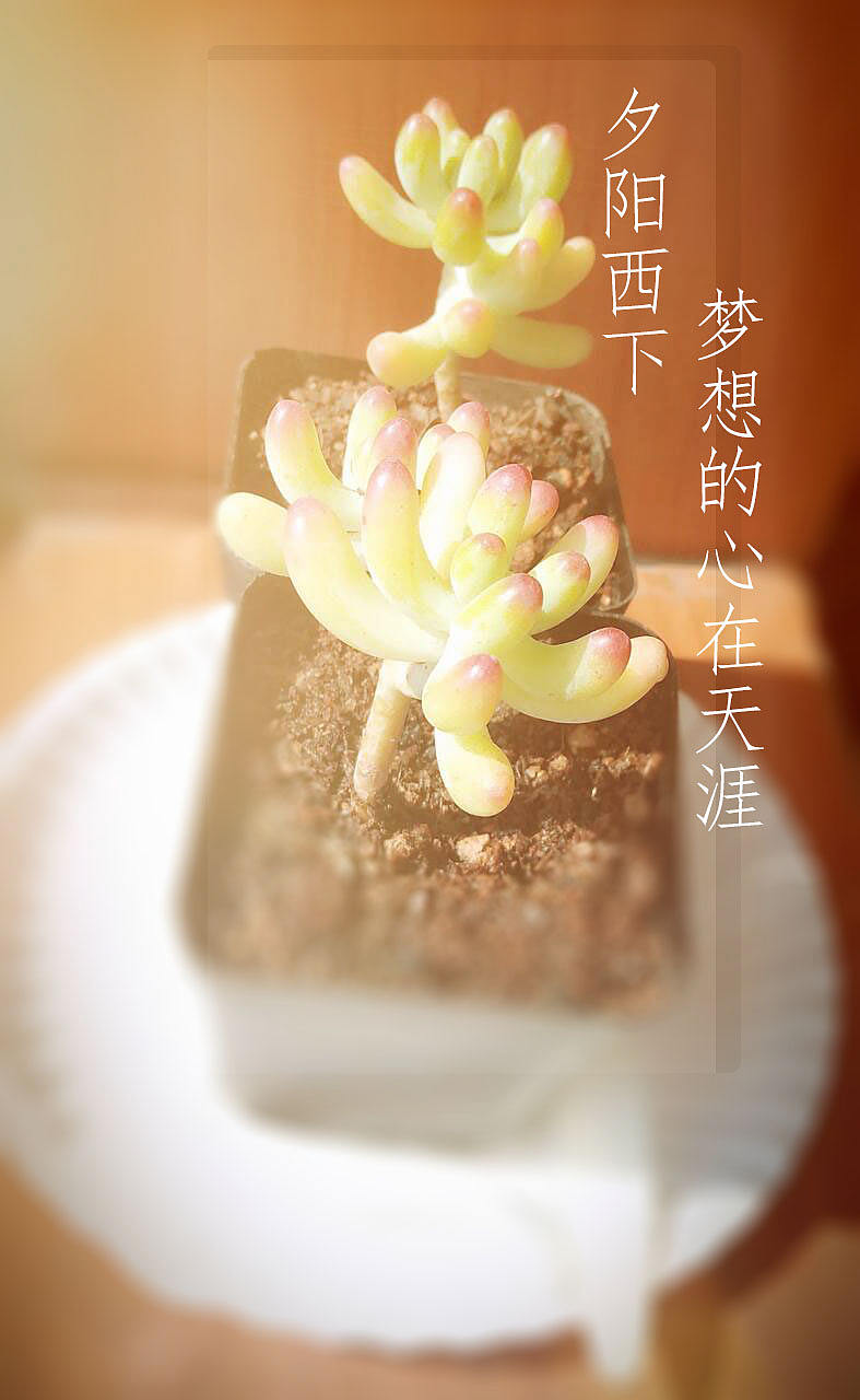 我的美好生活——身边的风景（图ZMTU4MTY2MzI4） - 其他UI - 站酷设计师卿雨韵原创素材 - 站酷ZCOOL
