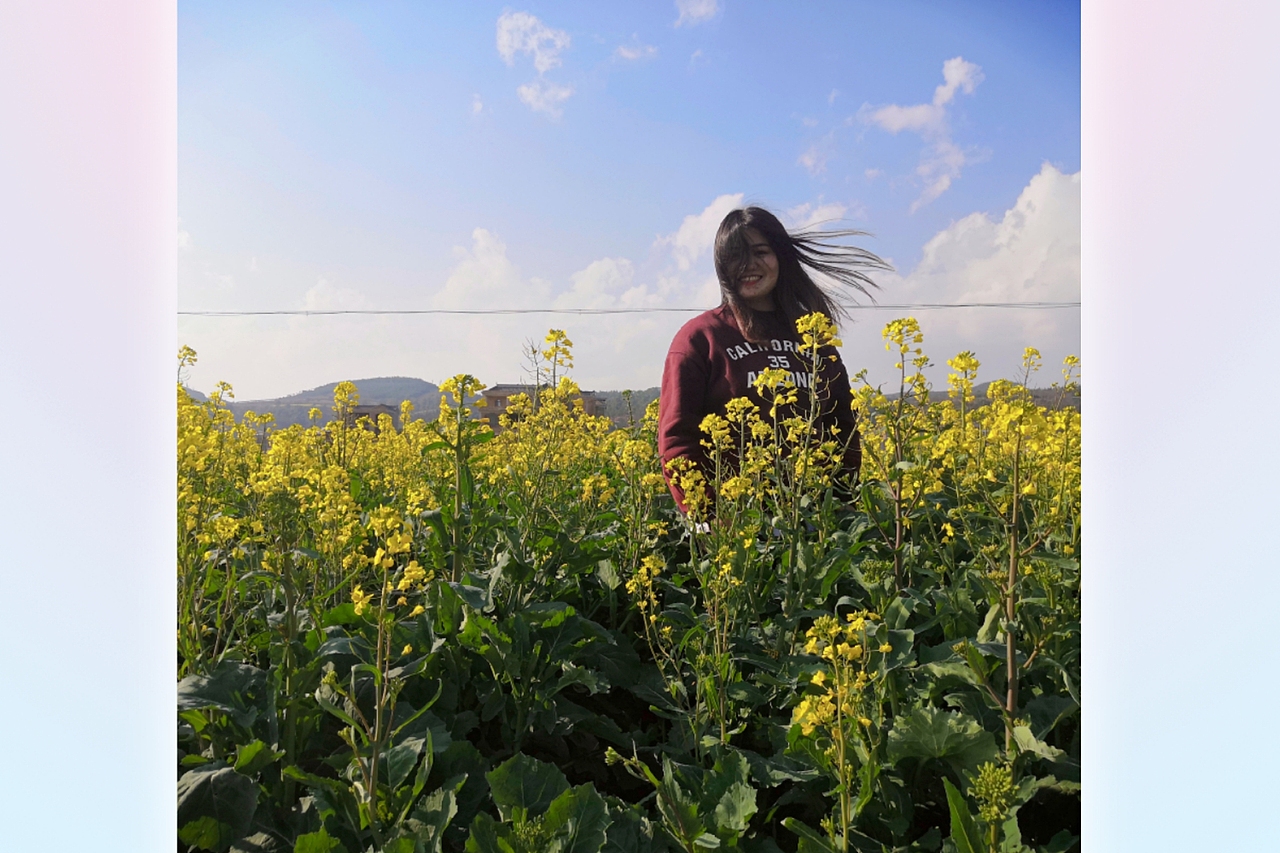 🌿【菜花记】🌿