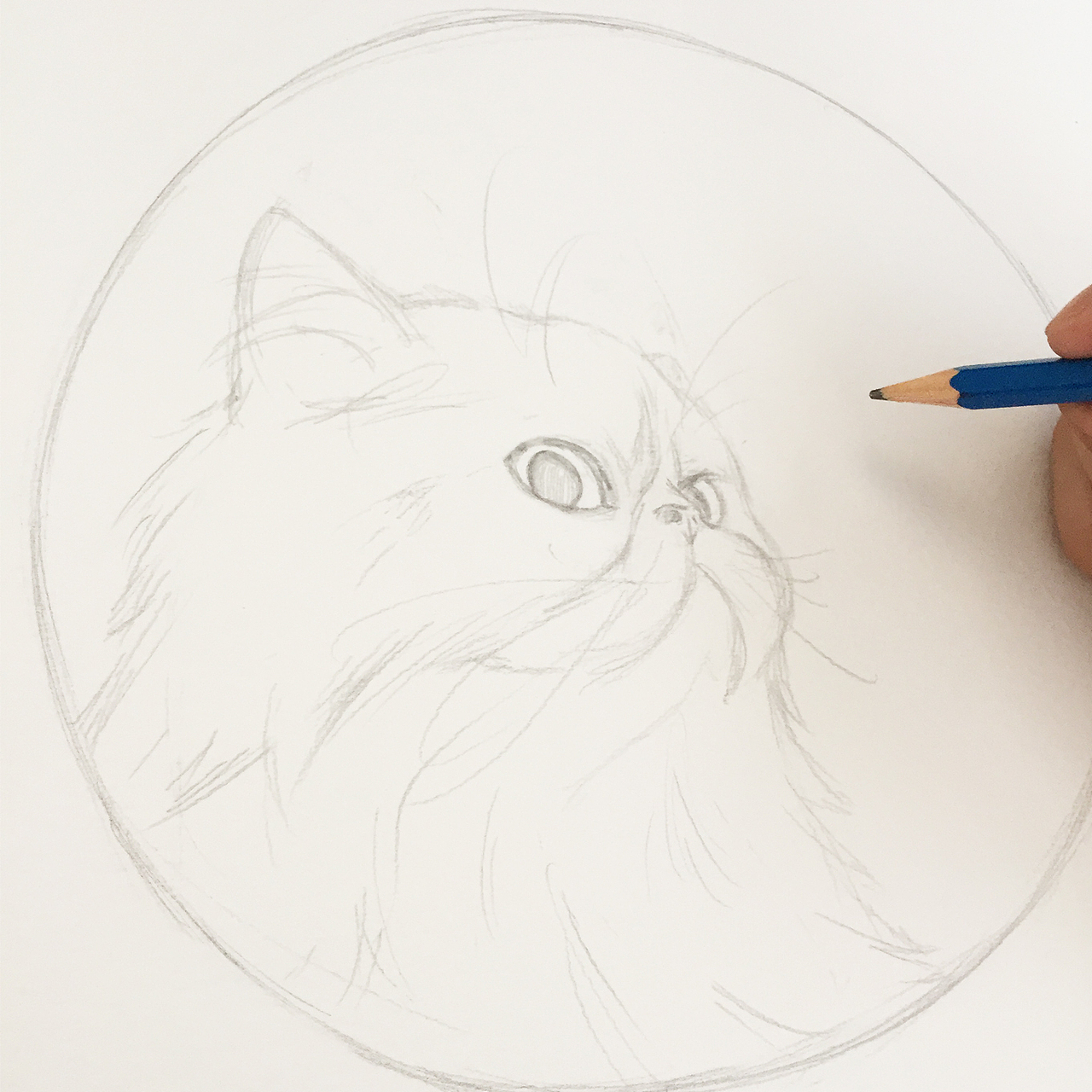 家里的魔法猫（图ZMzExMjE4OTI=） - 商业插画 - 站酷设计师毒物画家原创素材 - 站酷ZCOOL