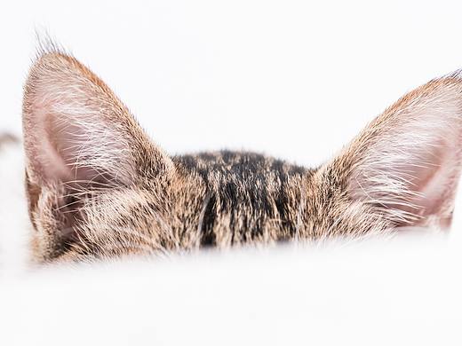 炎热慵懒的午后