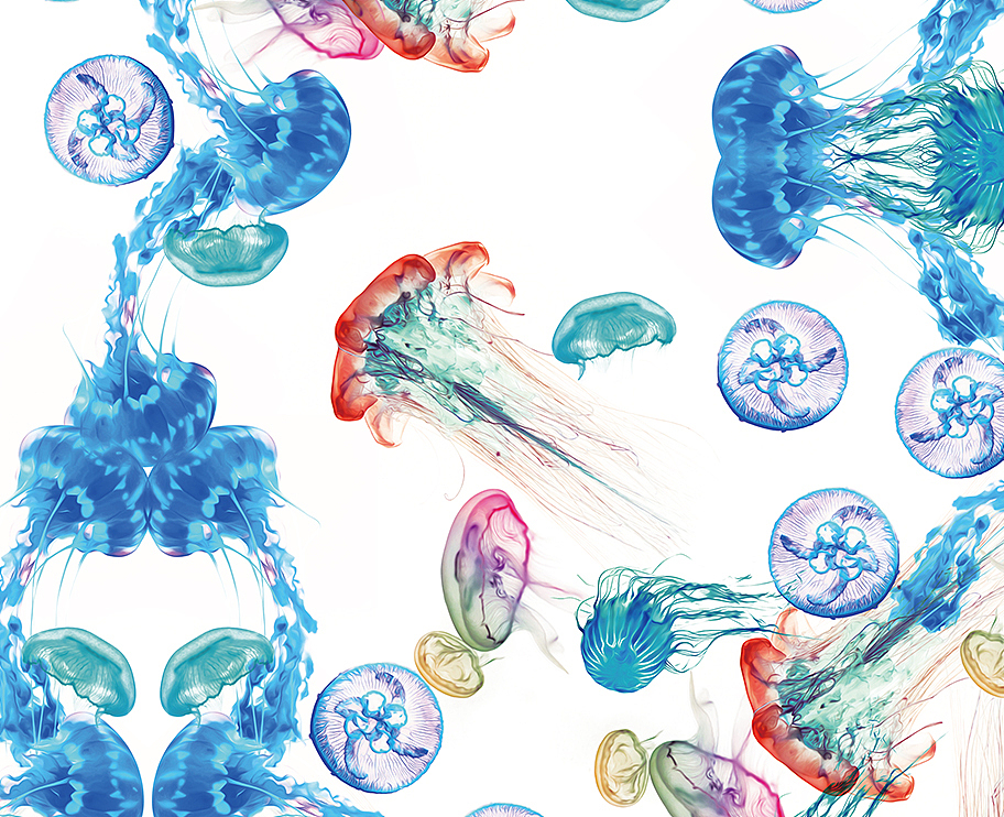 布面印花系列（图ZMTExMDk4NDg=） - 图案 - 站酷设计师方瀛CRain原创素材 - 站酷ZCOOL