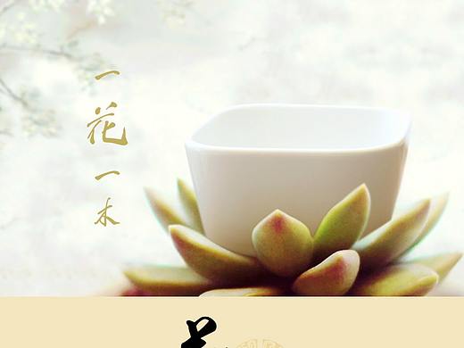 多肉详情页
