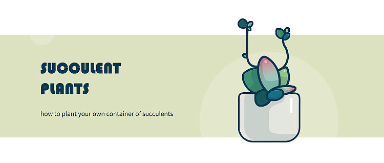 Succulent Plants ~ 多肉植物（图ZMjA1NTQ4NDY4） - 创作习作 - 站酷设计师LJdesignerUXD原创素材 - 站酷ZCOOL