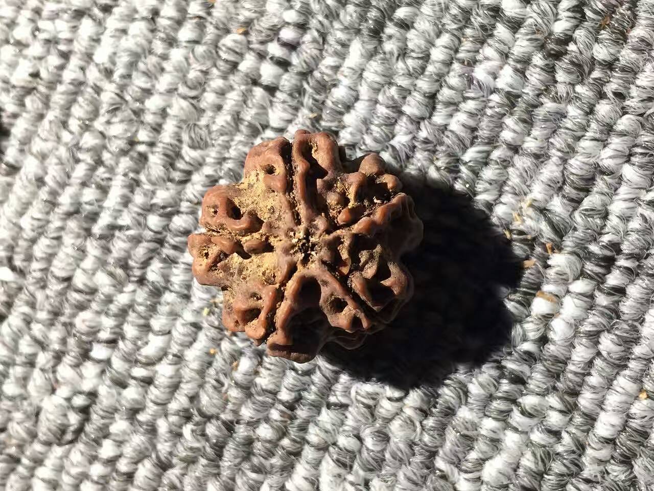 金刚菩提（图ZNjg5OTg4NDQ=） - 首饰设计 - 站酷设计师l328929136原创素材 - 站酷ZCOOL