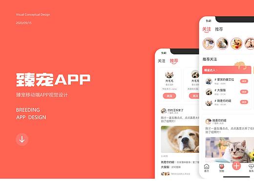 宠物APP