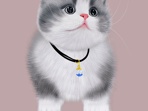 小猫
