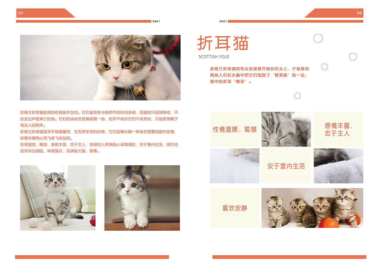 萌宠来了三折页、画册（图ZMTMyMzkwMjc2） - 书籍/画册 - 站酷设计师蒸个大肉包原创素材 - 站酷ZCOOL