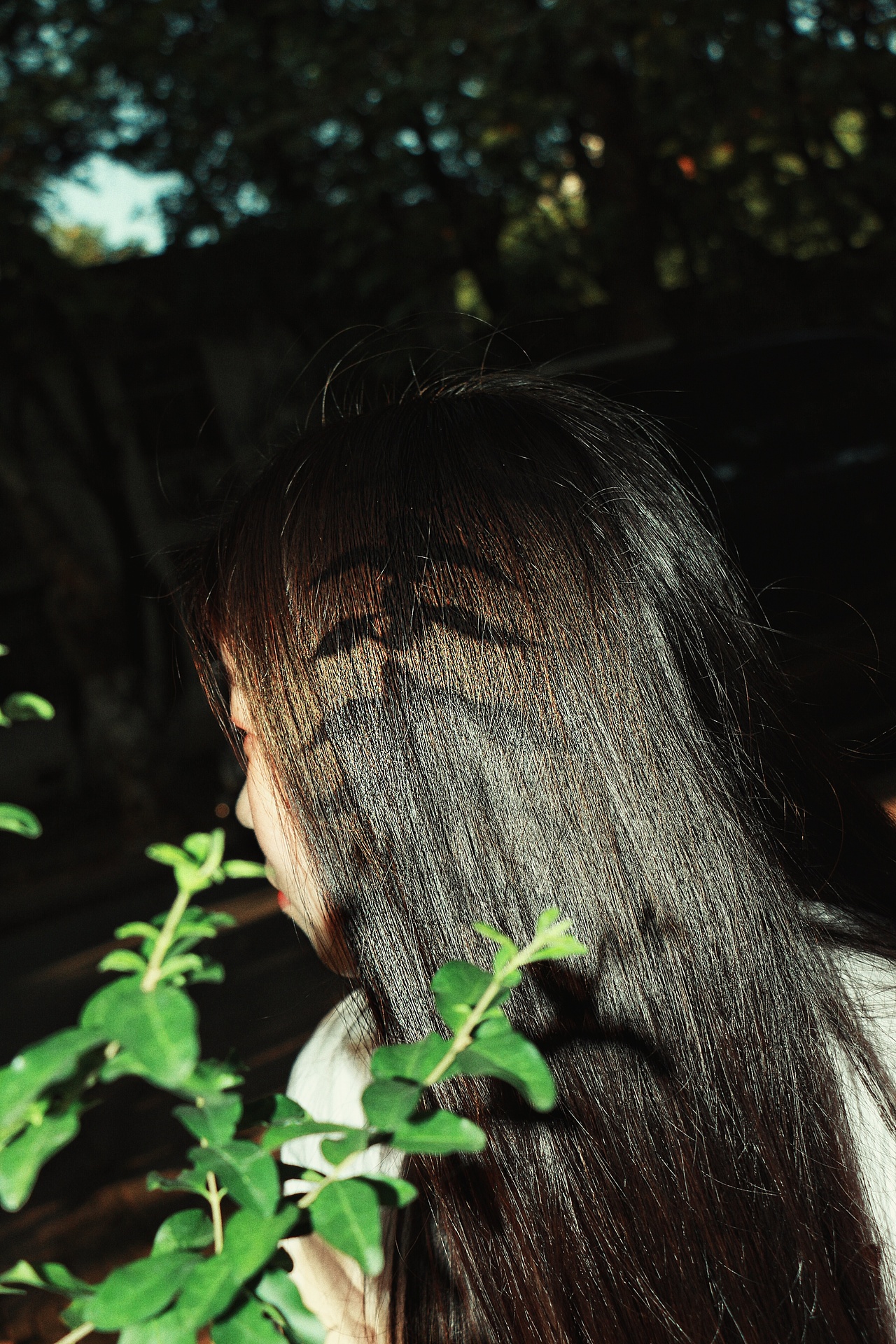 没有标题没有标题