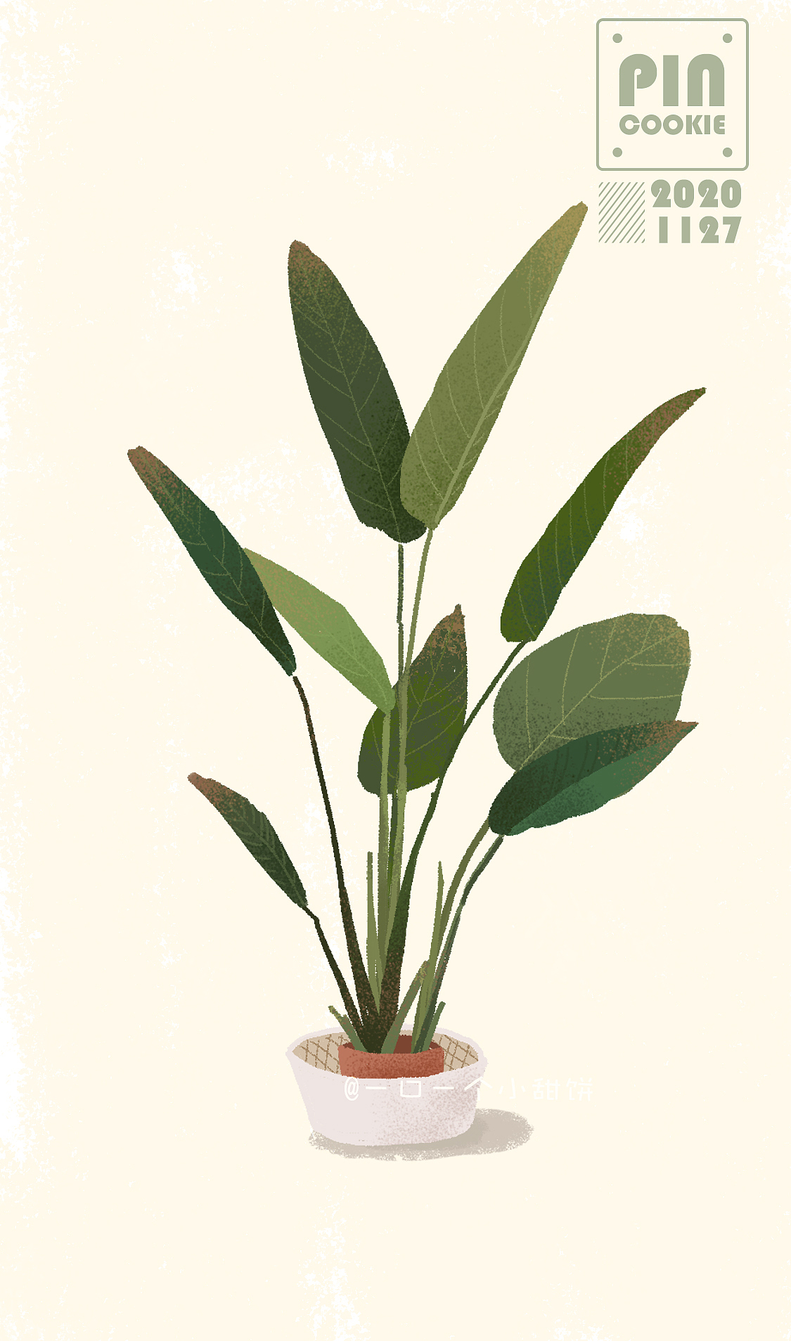 插畫植物練習(xí)（圖ZMjMzNjg0NDk2） - 創(chuàng)作習(xí)作 - 站酷設(shè)計(jì)師一口一個(gè)小甜餅原創(chuàng)素材 - 站酷ZCOOL