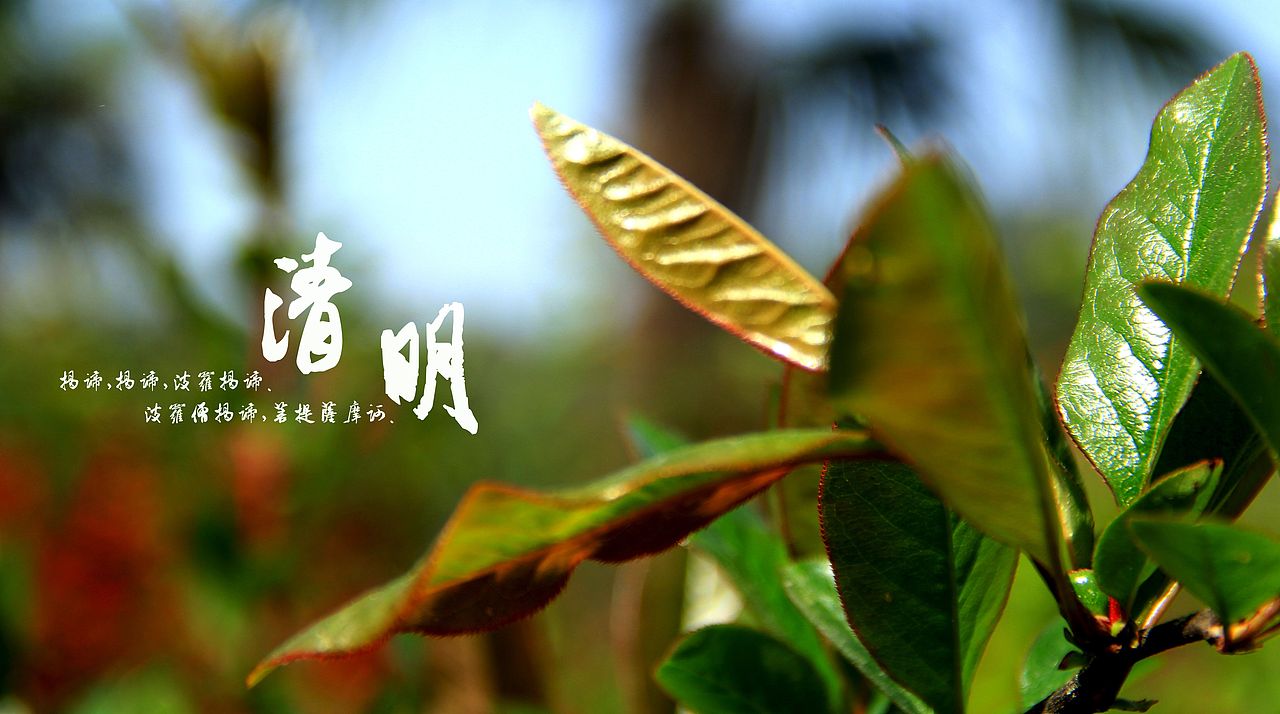 大桥下的石头（图ZODkzMzg3Mg==） - 风光摄影 - 站酷设计师半道子原创素材 - 站酷ZCOOL