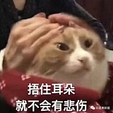 榕树先森的头像
