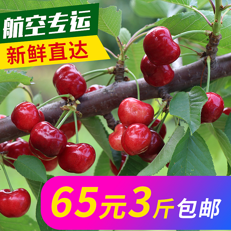 樱桃车图（图ZMTM4Mzk1MzU2） - 电商 - 站酷设计师农历初八原创素材 - 站酷ZCOOL