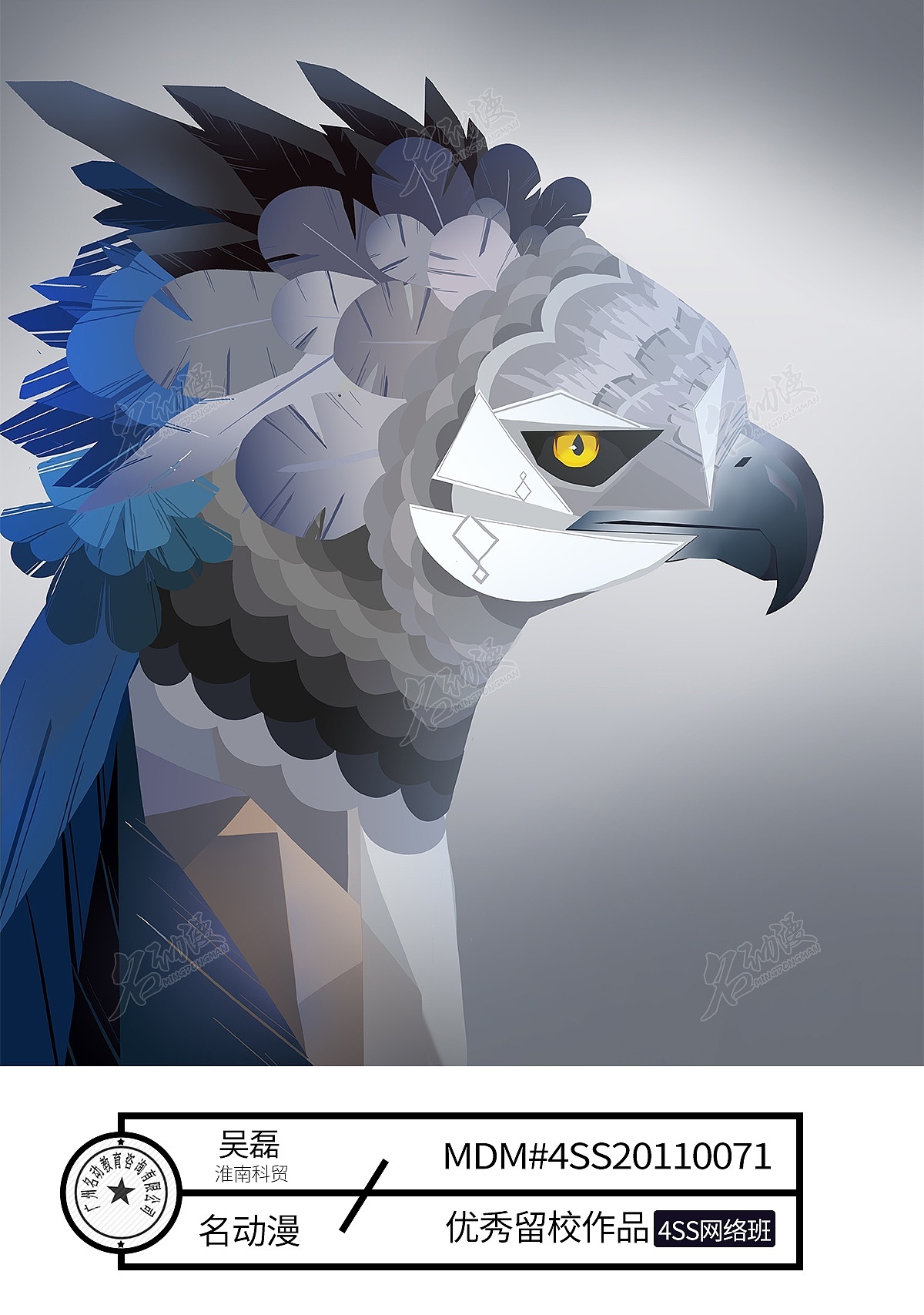 美洲角雕|原创|插画|装饰|动物|美洲角雕|鸟-网络