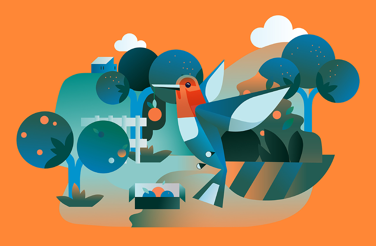 EMMANUELLE BAILLARD果汁包装（图ZMTIzMzcyNjI4） - 包装 - 站酷设计师Qdesign_paris原创素材 - 站酷ZCOOL