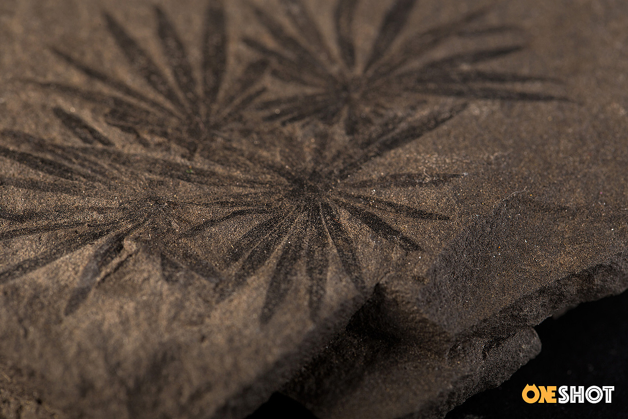 一些化石和矿石（图ZMTM4NTYzMTIw） - 产品摄影 - 站酷设计师WildKay原创素材 - 站酷ZCOOL